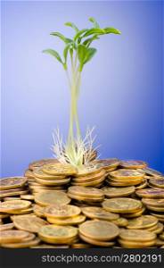 Financial concept with seedlings and coins