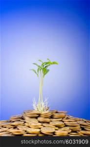 Financial concept with seedlings and coins