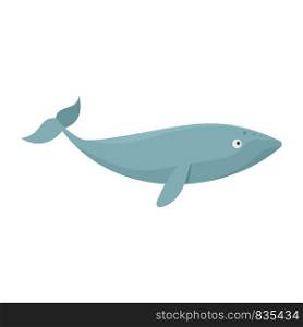 Finback whale icon. Flat illustration of finback whale vector icon for web isolated on white. Finback whale icon, flat style