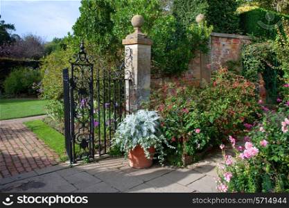 Fine English country garden with fuchias and delphiniums, Gloucestershire, England.