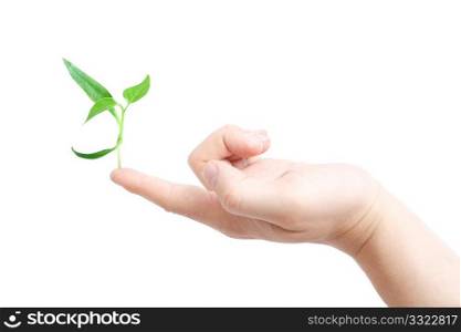 Finger supporting a new plant