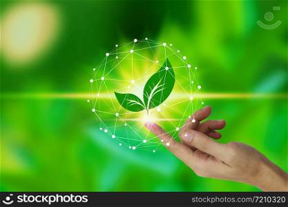 Finger touch with leaf icon over the Network connection on nature background, Technology ecology concept. Environmental protection concept.