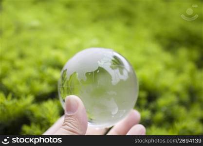 Fingertips holding a glass globe with leaves reflecting through the globe
