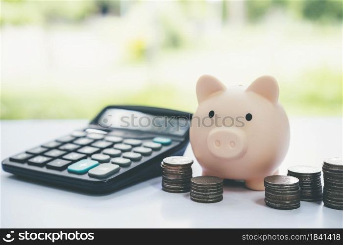 Finnace , Saving money and investment concepts. Piggy bank and coin.