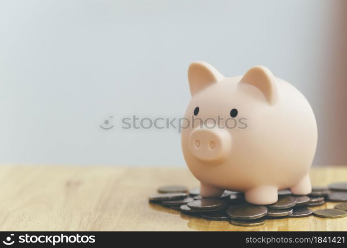 Finnace , Saving money and investment concepts. Piggy bank and coin.