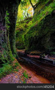 Finnich Glen aka Devil's Pulpit is a little gem hidden in a Forest just off the Drymen, near Loch Lomond, Lowlands, Scotland, UK