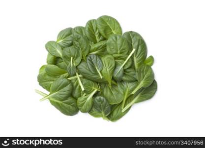 Fino Fresco Italian lettuce leaves on white background