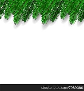 Fir Branch on White Background. Symbol of New Year.. Fir Branch. Symbol of New Year.