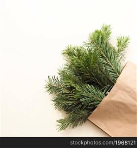 fir branches in a craft bag on a beige background.