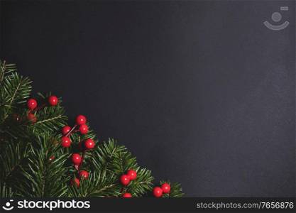 Fir Christmas tree branches and holly berries on black paper background flat lay top view mock-up. Fir branches on black paper