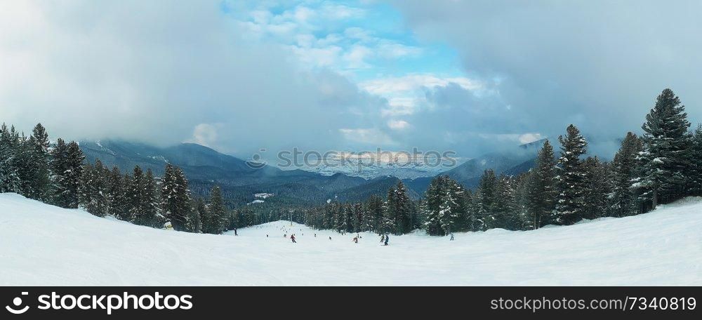 Fir forest panorama with tall trees covered by snow growing along snowy ski slope of the Pirin mountain with foggy clouds in Bansko, Bulgaria.
