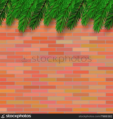 Fir Green Branch on Orange Brick Background. Fir Green Branch