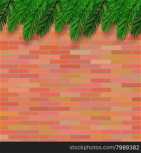 Fir Green Branch on Orange Brick Background. Fir Green Branch