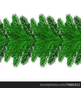 Fir Green Branches Isolated on White Background. Fir Green Branches