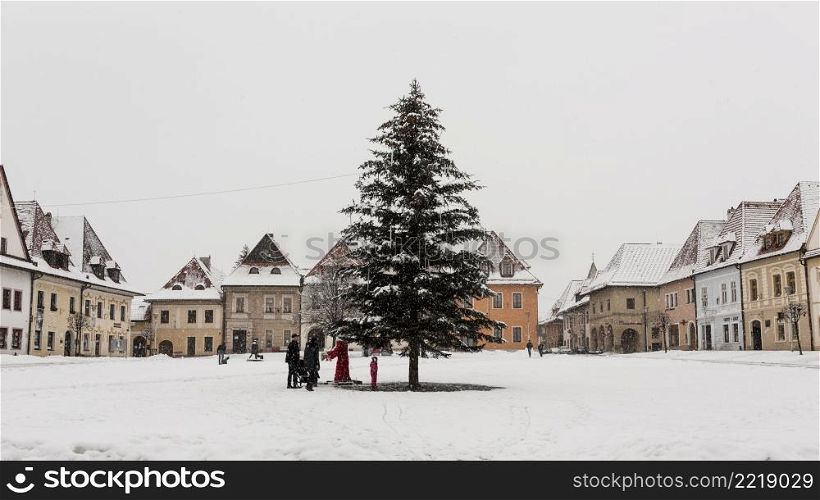 fir tree town