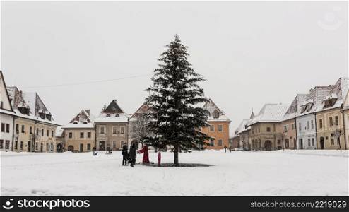 fir tree town