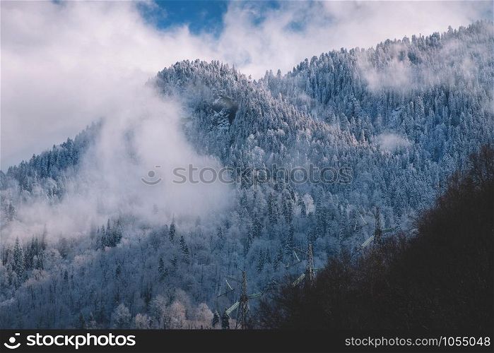 Fir trees under the snow. Mountain forest in winter. Christmas landscape. The path in the snow.