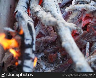 fire and coals in a fire