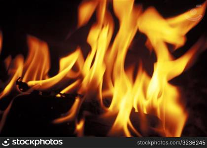Fire Burning Close Up