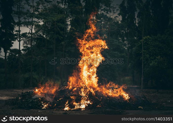 fire burning outdoor, Fire flames on forest background