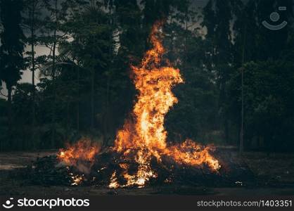 fire burning outdoor, Fire flames on forest background