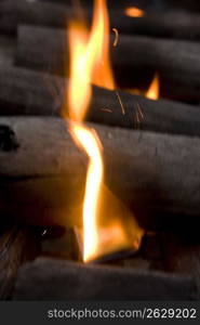 fire burning through logs
