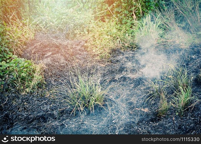 Fire burns grass on field with smoke from wildfire in the summer