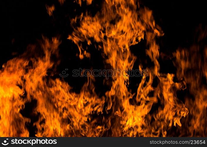 Fire flames on a black background