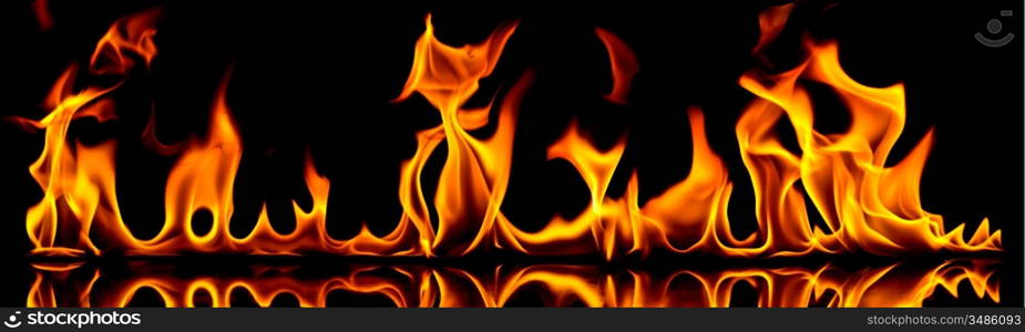 Fire flames on a black background.