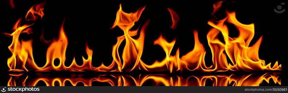 Fire flames on a black background.