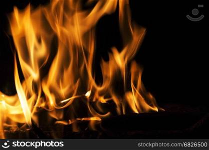 Fire flames on a black background. Blaze fire flame texture background. Close up of fire flames isolated on black background. Burn. Abstract fire flames background. Texture