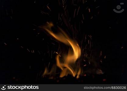 Fire flames on a black background. Blaze fire flame texture background. Close up of fire flames isolated on black background. Burn. Abstract fire flames background. Texture.
