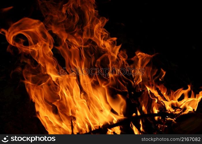 Fire flames on black background. The fire in the natural forest, flames and sparks on a dark background Fuel , lights on a black background. Fire flames on black background. The fire in the natural forest, flames and sparks on a dark background Fuel , lights on a black background.