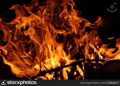 Fire flames on black background. The fire in the natural forest, flames and sparks on a dark background Fuel , lights on a black background. Fire flames on black background. The fire in the natural forest, flames and sparks on a dark background Fuel , lights on a black background.