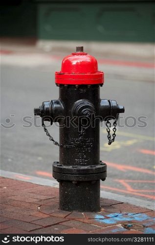 Fire hydrant in Boston, Massachusetts, USA