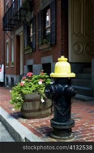 Fire hydrant on a street, Boston, Massachusetts, USA