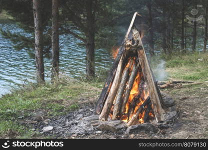 Fire in the nature. Preparing barbecue in the forest