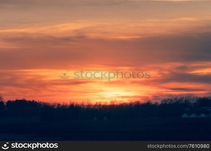 Fire in the sky sunset over a row of tree silhouettes in the dawn