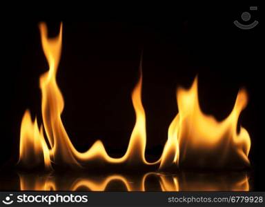 Fire on a black background. Studio shot flames
