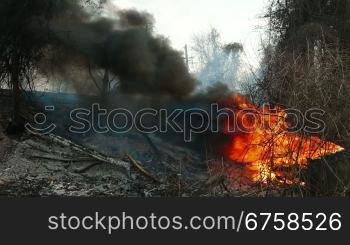 Fire on the roadside, burning trees and a car tire