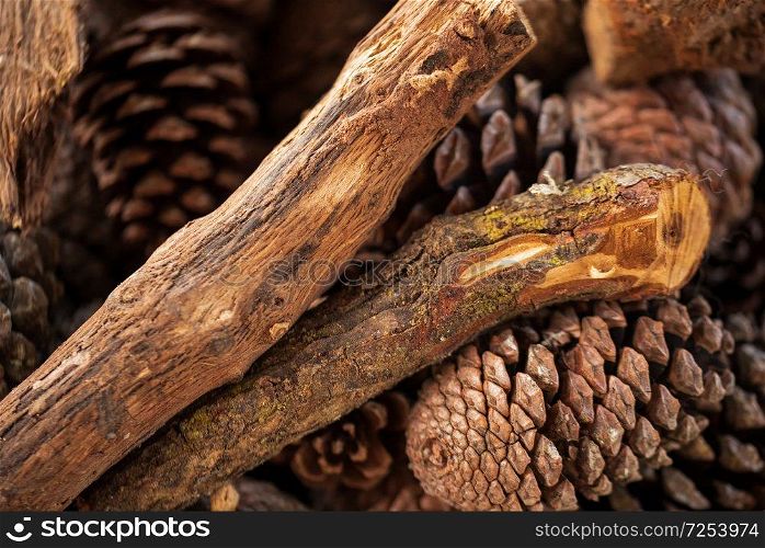 fire wood and pine trees for wood stove