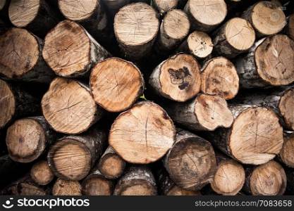 Fire woods abstract nature background