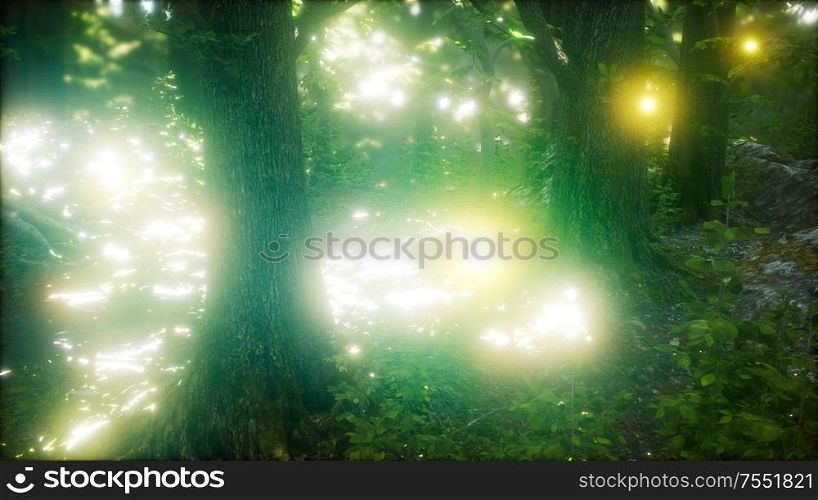 firefly flying in green forest. Firefly Flying in the Forest