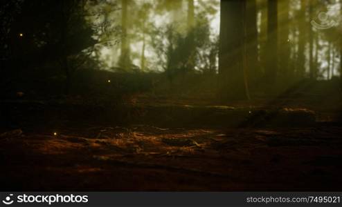 firefly in misty forest with fog