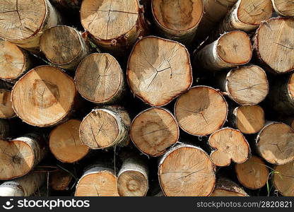 firewood