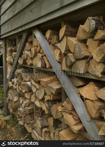 Firewood, Lake of The Woods, Ontario, Canada