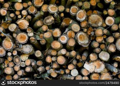 Firewood logs whole saw cut tree branches stacked pile drying for winter fireplace texture background