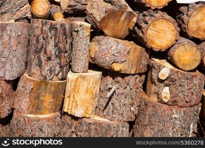 firewood of pine tree stacked in a row at Spain