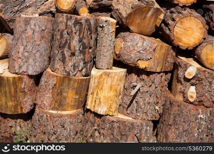 firewood of pine tree stacked in a row at Spain