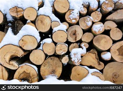 Firewood stacked in piles and covered with snow in the forest in close-up